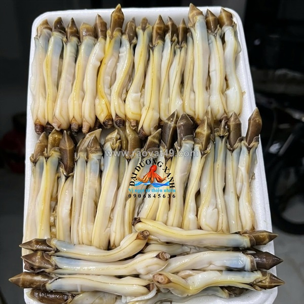 Ruột ốc móng tay tươi ngon – bí quyết chọn mua và chế biến