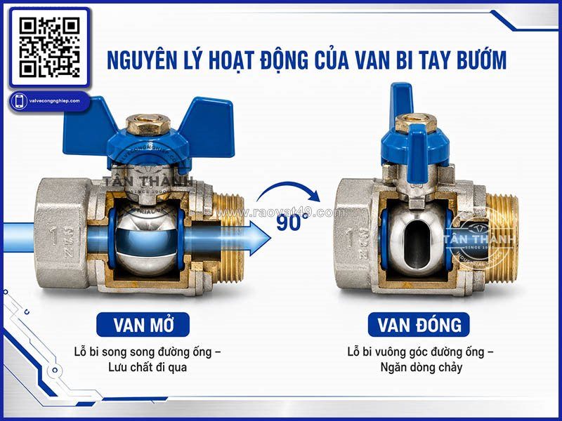 Van bi tay bướm những thông số kỹ thuật cần hiểu rõ trong hệ thống đường ống