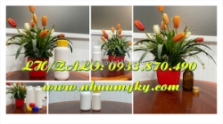 Vỏ chai nhựa 1 lít đựng phân bón, bình thủy tinh 500ml đựng rượu, chai thủy tinh 250ml đựng bazơ