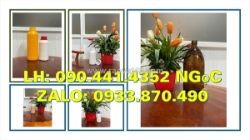 Vỏ chai thủy tinh 0.5 lít đựng hóa chất chuyên dụng, chai thủy tinh 250ml đựng axit, kiềm, nước muối