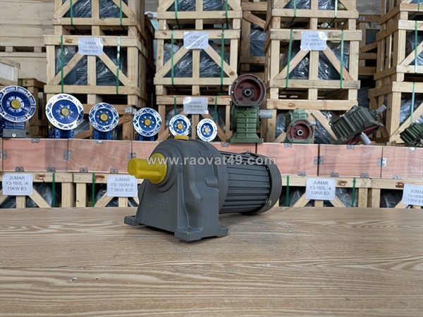 🔥 [kho sỉ] động cơ giảm tốc 3 pha chính hãng - đủ công suất, giá đại lý - thành thái motor