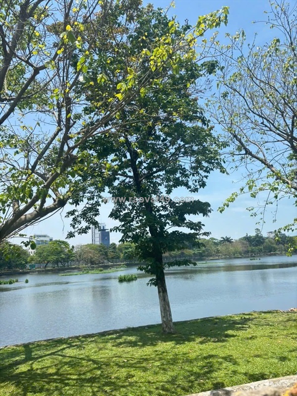 # lô góc phan thanh view công viên, gần đh duy tân, 40m2, 2 tầng đúc, 3.78 tỷ