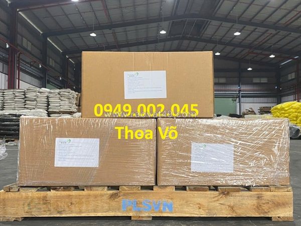 Bacillus subtilis – xử lý nước ao nuôi, hỗ trợ tiêu hóa tôm cá hiệu quả