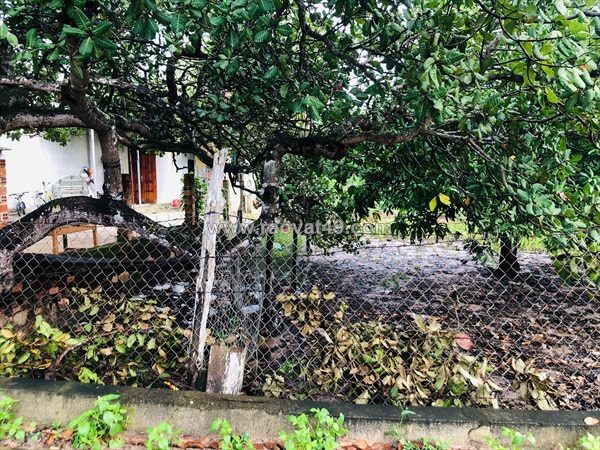 Bán 20m x 27m đất thổ cư gần ql55 - tân xuân - hàm tân giá rẻ nhất 800tr