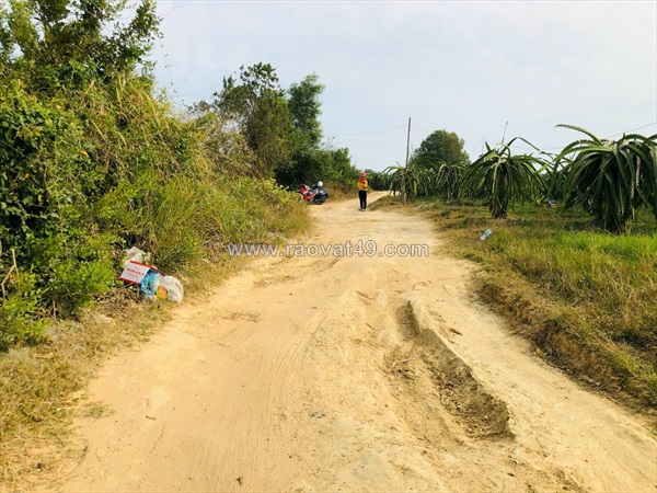 Bán 796m2 vườn thanh long tân hải, lagi giảm 50% còn 500 triệu chính chủ