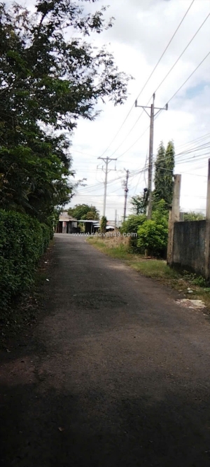 Bán đất diện tích lớn – giá tốt – bù đốp, bình phước