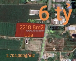 Bán hạ giá lô đất lúa làm kho xưởng gần quốc lộ 50b giá 6 tỷ