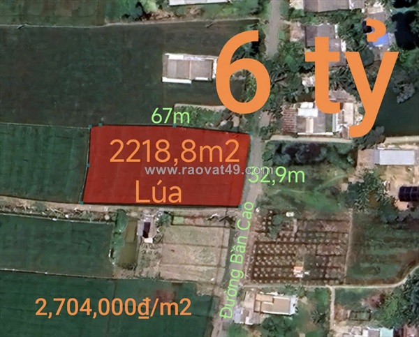 Bán hạ giá lô đất lúa làm kho xưởng gần quốc lộ 50b giá 6 tỷ