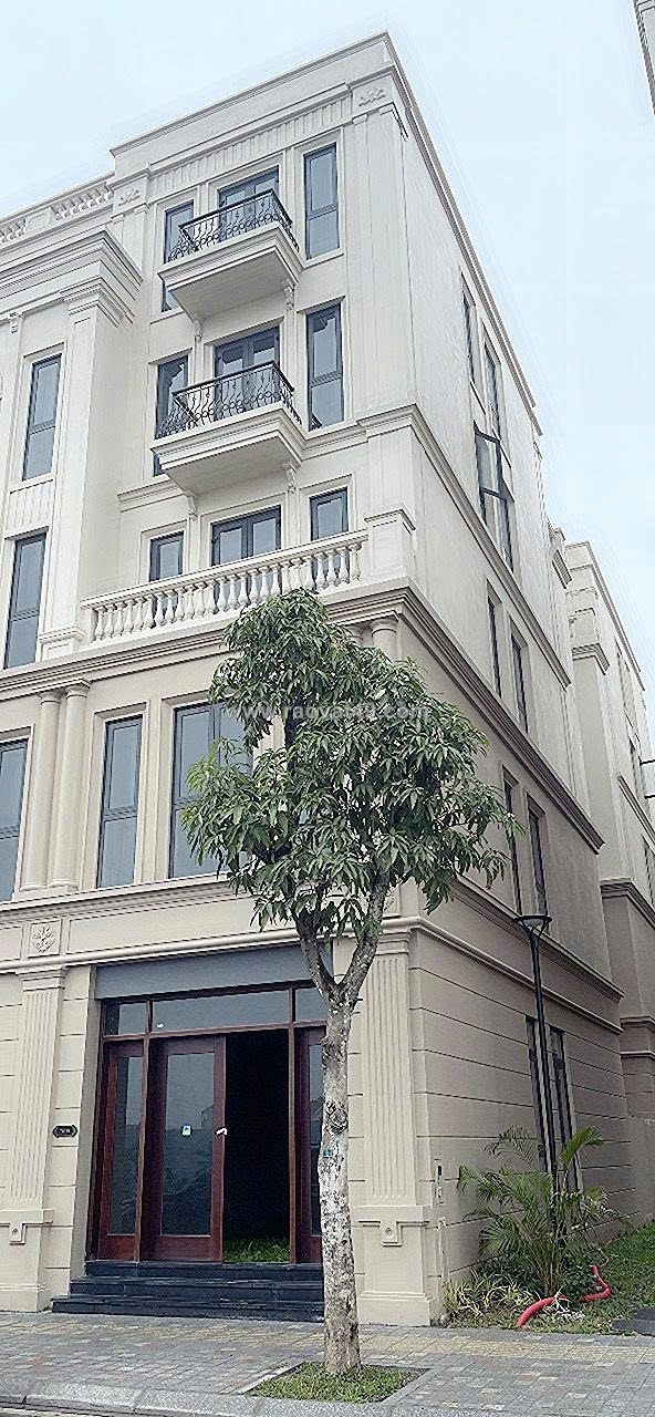 Bán liền kề xẻ khe 75m² – phân khu tinh hoa, vinhomes global gate cổ loa, đông