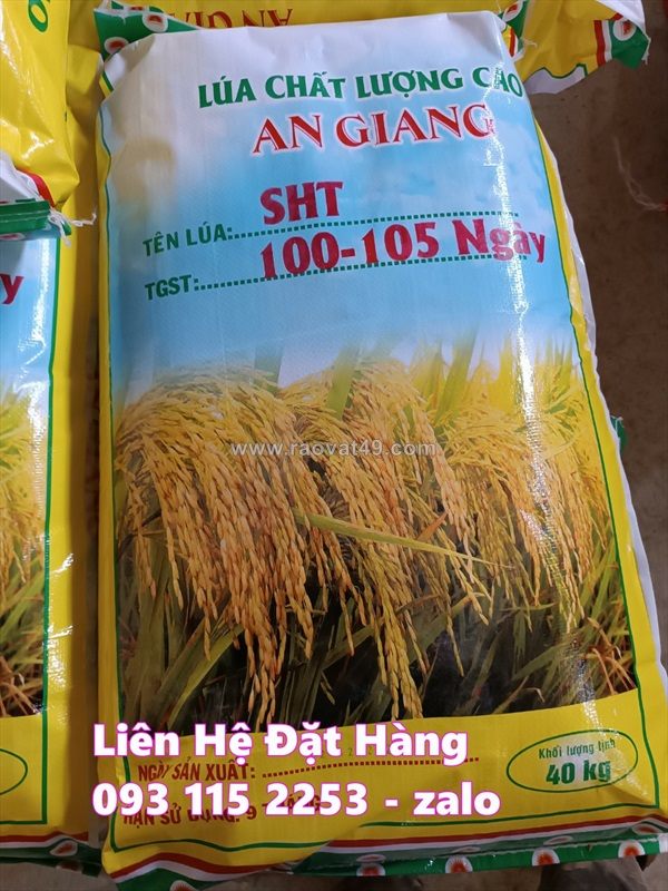 Bao lúa 40kg – hàng có sẵn, giao 24/7