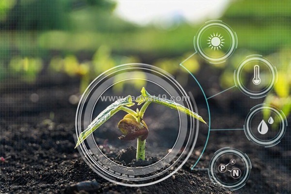 Bí mật phía sau sức mạnh của phân bón hữu cơ sinh học dưới lòng đất