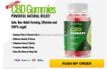 Bliss harmony cbd gummies usa review