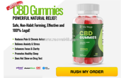Bliss harmony cbd gummies usa review