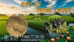Bột cá – nguyên liệu đa năng cho sản xuất phân bón, thuốc diệt ốc bươu vàng, thuốc diệt chuột
