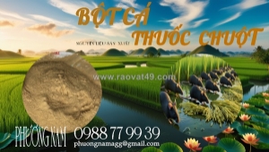 Bột cá – nguyên liệu đa năng cho sản xuất phân bón, thuốc diệt ốc bươu vàng, thuốc diệt chuột