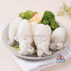 Các size mực nang hiện có trên thị trường và cách chọn cho món ăn