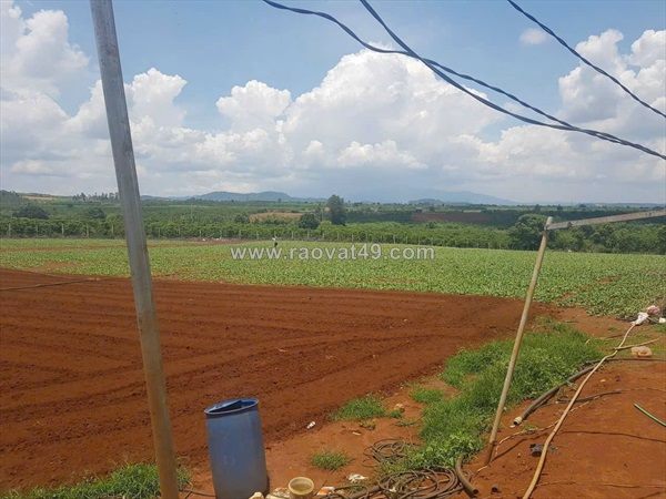 Cần bán 2,4 ha đất hẻm thuộc n,thôn hạ đức trọng cũ, lâm đồng