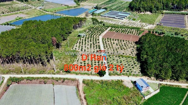 Cần bán 800m2 đất giá chỉ 2 tỷ - cara villa