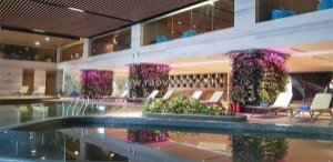 Căn hộ đẹp- giá đầu tư cần bán nhanh căn hộ flamingo cat ba beach resort, tt