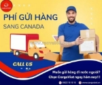 Cargoviet – chuyên dịch vụ vận chuyển hàng đi canada với chi phí tối ưu