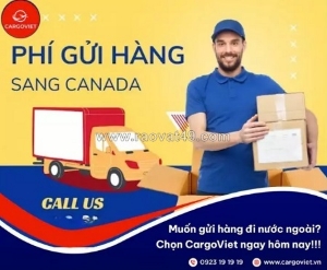 Cargoviet – chuyên dịch vụ vận chuyển hàng đi canada với chi phí tối ưu