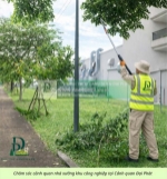 Cắt cỏ, cắt tỉa, vệ sinh cảnh quan nhà máy và kcn đồng nai