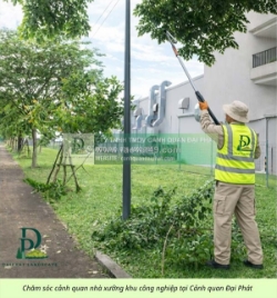 Cắt cỏ, cắt tỉa, vệ sinh cảnh quan nhà máy và kcn đồng nai
