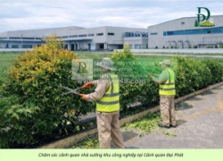 Cắt cỏ, cắt tỉa, vệ sinh cảnh quan nhà máy và kcn đồng nai