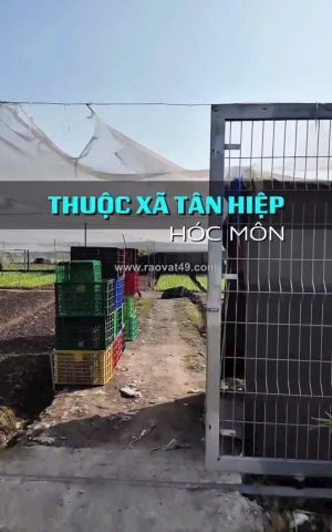 Ccg đất tân hiệp hóc môn – sát cạnh khu biệt thự – giá chỉ 10tr/m²