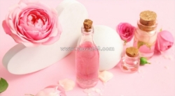 Chiết xuất hoa hồng thiên nhiên cho làn da khỏe mạnh và rạng rỡ