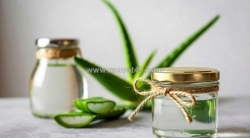 Chiết xuất nha đam (aloe vera extract) – bí quyết cấp ẩm và phục hồi da hiệu quả