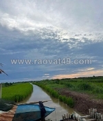 Chính chủ cần bán 2,6 mẫu đất ruộng nuôi quảng canh xen lúa