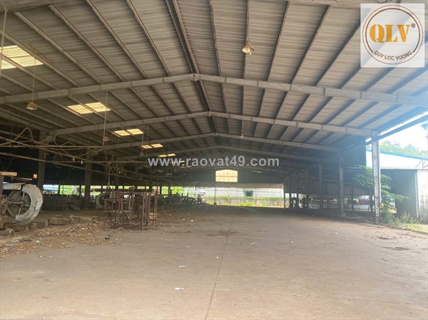 Cho thuê đất và nhà xưởng vĩnh cửu, đn 5.000m²