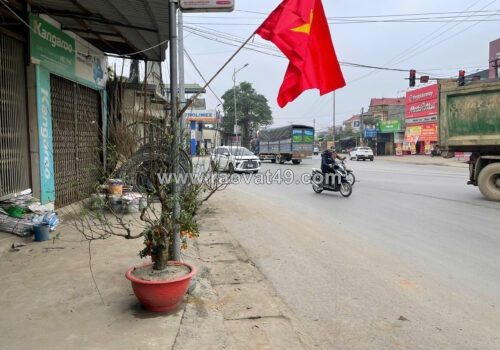 Cho thuê mặt bằng ngã 4 cây xăng, xuân khanh, sơn tây, hà nội