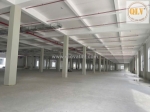 Cho thuê nhà xưởng kcn bàu bàng 52.815m²