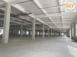 Cho thuê nhà xưởng kcn bàu bàng 52.815m²
