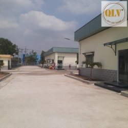 Cho thuê nhà xưởng – kcn thành thành công, trảng bàng, tây ninh
