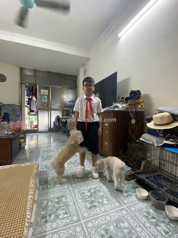 Cho thuê phòng 30m² – hàng than, hoàn kiếm (cho thuê lâu dài)