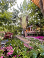 Cho thuê villa sân vườn 700m2 đèo prenn đà lạt giá thuê 26 triệu