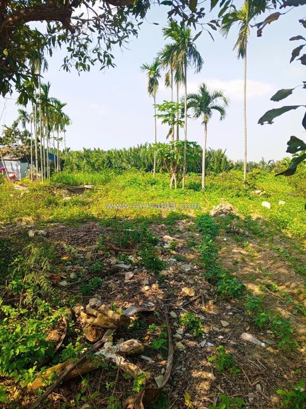 Chủ kẹt tiền cần bán lô đất tại mt đường dx 017 có 1000 m² đất ở., cẩm thanh