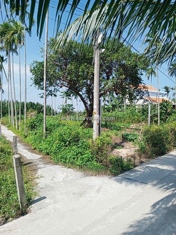 Chủ kẹt tiền cần bán lô đất tại mt đường dx 017 có 1000 m² đất ở., cẩm thanh