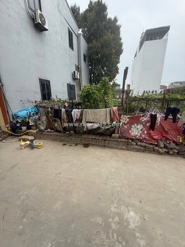 Cơ hội đầu tư, an cư lí tưởng. 56m đất thôn ấp tre - tổ 9, quang minh. đường