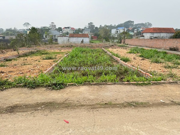 Cực hiếm, cơ hội có một không hai, sở hữu 37m đất tổ 9, quang minh chỉ với 1,95