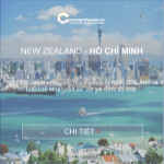 Cước vận chuyển từ new zealand về hồ chí minh
