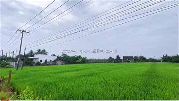 Đất chính chủ - 2 lô mặt tiền đường dt827b xã phước tân hưng, châu thành, long