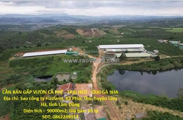 Đất  đẹp- giá tốt- cần bán nhanh đất tại xã phúc thọ, lâm hà, lâm đồng