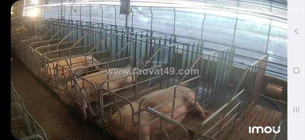 Đất  đẹp- giá tốt- cần bán nhanh đất tại xã phúc thọ, lâm hà, lâm đồng