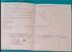 Đất đẹp – giá tốt – chính chủ cần bán tại xã hải quế, huyện hải lăng, quảng trị