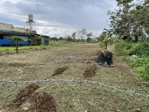 Đất đẹp – giá tốt  – chính chủ cần bán tại xã nghĩa hiệp, huyện đức trọng, lâm