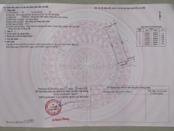 Đất vị trí đẹp  - giá tốt cần bán nhanh 3 lô đất 2 mặt tiền tại huyện củ chi,